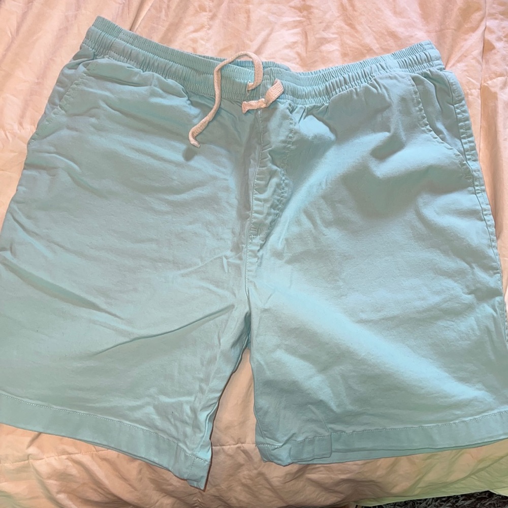 Chubbies 7” inseam drawstring shorts - stretchy fabric size Large teal/blue